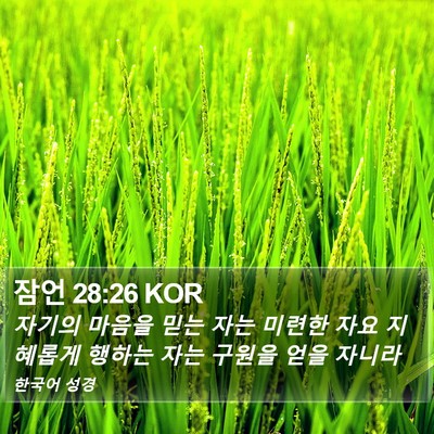 잠언 28:26 KOR Bible Verse Image