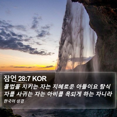 잠언 28:7 KOR Bible Verse Image