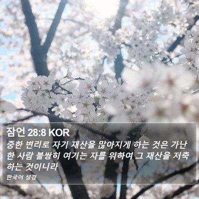 잠언 28:8 KOR Bible Verse Image