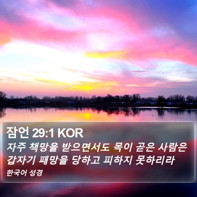 잠언 29:1 KOR Bible Verse Image