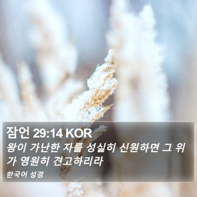 잠언 29:14 KOR Bible Verse Image