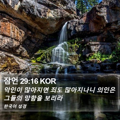 잠언 29:16 KOR Bible Verse Image