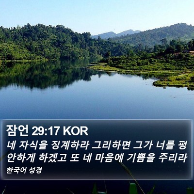 잠언 29:17 KOR Bible Verse Image