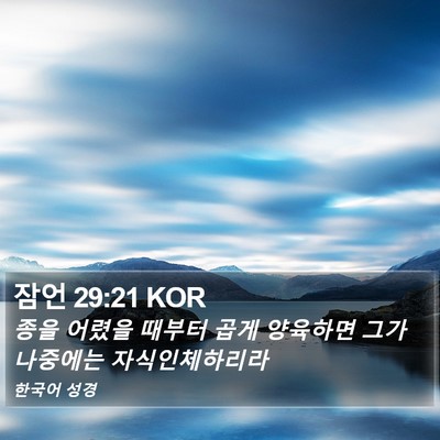 잠언 29:21 KOR Bible Verse Image