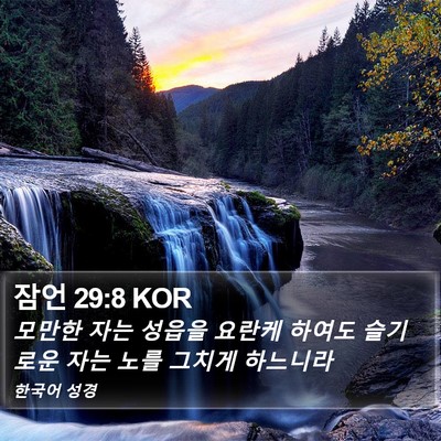 잠언 29:8 KOR Bible Verse Image