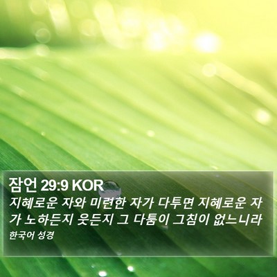 잠언 29:9 KOR Bible Verse Image