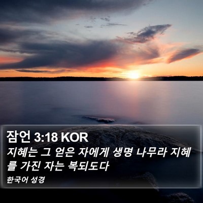 잠언 3:18 KOR Bible Verse Image