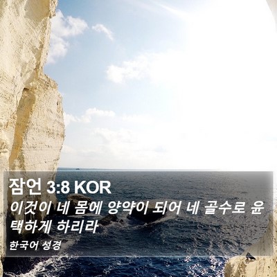 잠언 3:8 KOR Bible Verse Image