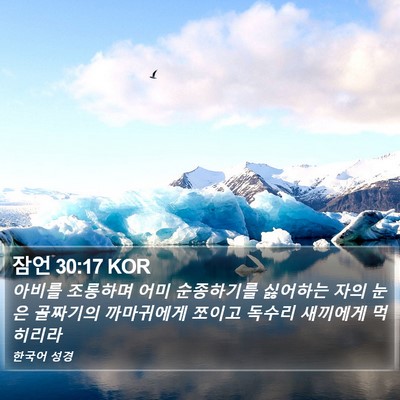 잠언 30:17 KOR Bible Verse Image