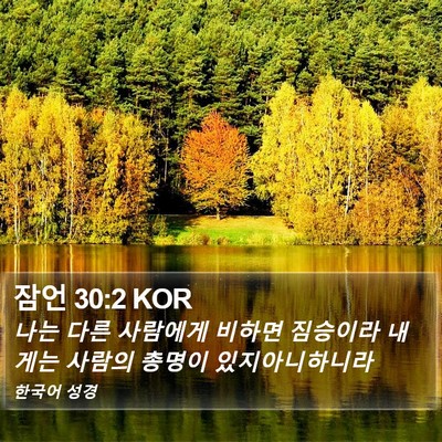 잠언 30:2 KOR Bible Verse Image