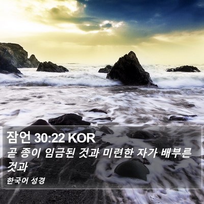 잠언 30:22 KOR Bible Verse Image