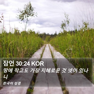 잠언 30:24 KOR Bible Verse Image