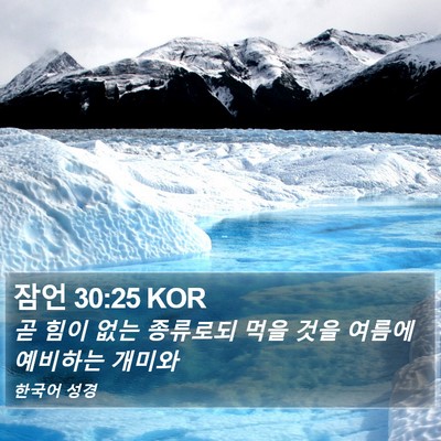 잠언 30:25 KOR Bible Verse Image