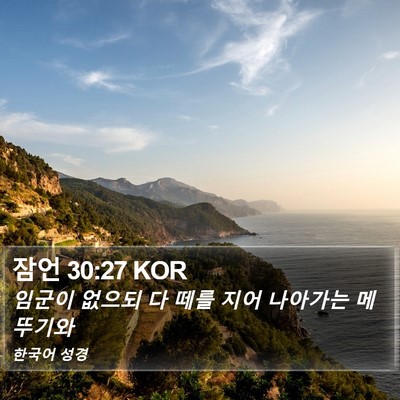 잠언 30:27 KOR Bible Verse Image
