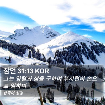 잠언 31:13 KOR Bible Verse Image