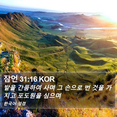 잠언 31:16 KOR Bible Verse Image