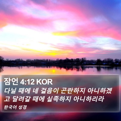 잠언 4:12 KOR Bible Verse Image