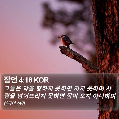 잠언 4:16 KOR Bible Verse Image