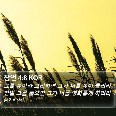 잠언 4:8 KOR Bible Verse Image