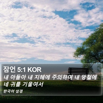 잠언 5:1 KOR Bible Verse Image
