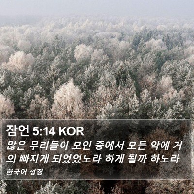 잠언 5:14 KOR Bible Verse Image