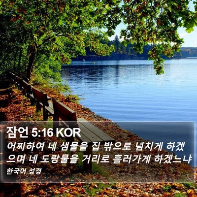 잠언 5:16 KOR Bible Verse Image