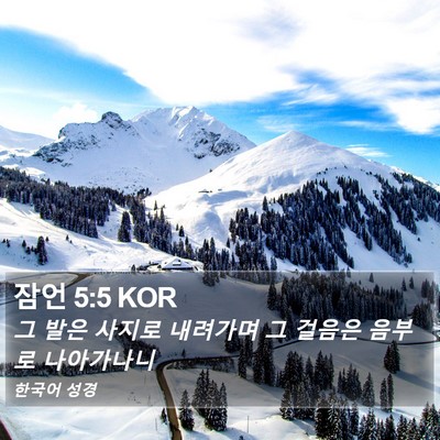 잠언 5:5 KOR Bible Verse Image