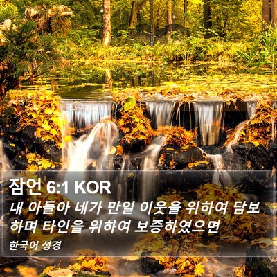 잠언 6:1 KOR Bible Verse Image