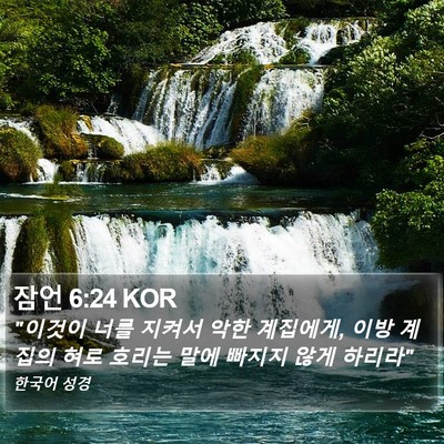 잠언 6:24 KOR Bible Verse Image