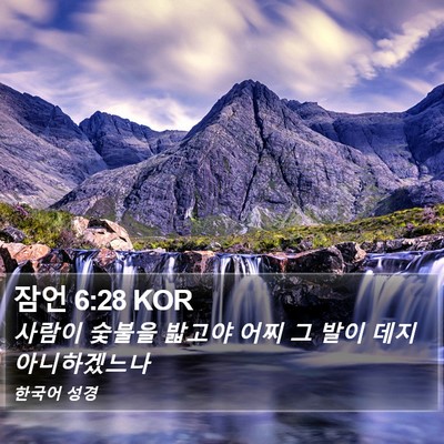 잠언 6:28 KOR Bible Verse Image