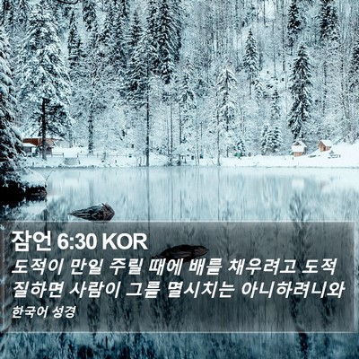 잠언 6:30 KOR Bible Verse Image