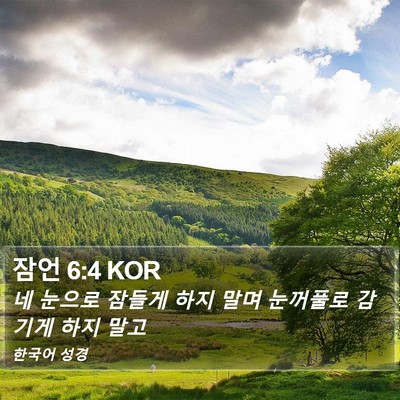 잠언 6:4 KOR Bible Verse Image