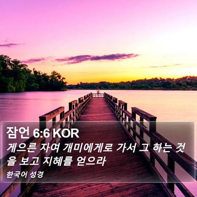 잠언 6:6 KOR Bible Verse Image