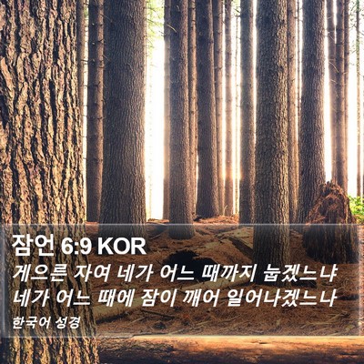 잠언 6:9 KOR Bible Verse Image
