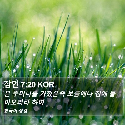 잠언 7:20 KOR Bible Verse Image