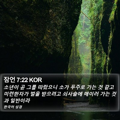 잠언 7:22 KOR Bible Verse Image