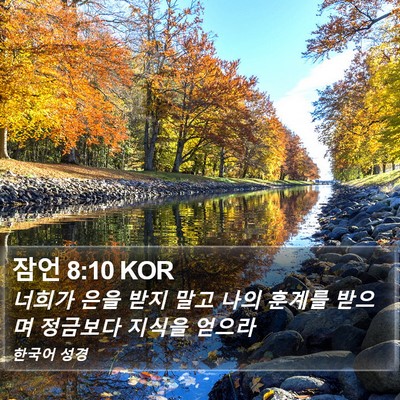 잠언 8:10 KOR Bible Verse Image