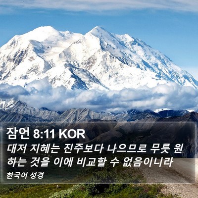 잠언 8:11 KOR Bible Verse Image