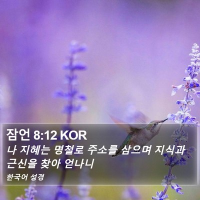 잠언 8:12 KOR Bible Verse Image