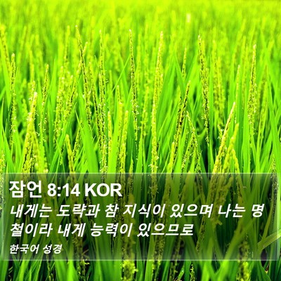 잠언 8:14 KOR Bible Verse Image