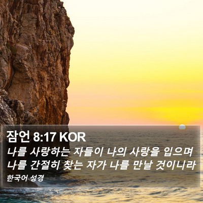 잠언 8:17 KOR Bible Verse Image