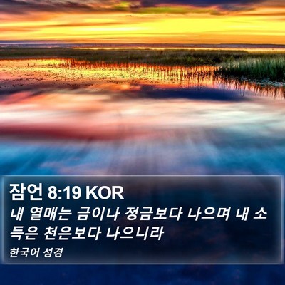 잠언 8:19 KOR Bible Verse Image