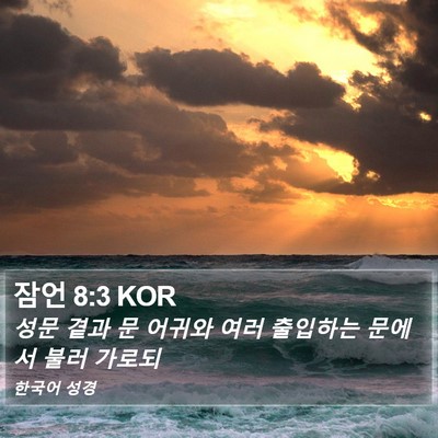 잠언 8:3 KOR Bible Verse Image