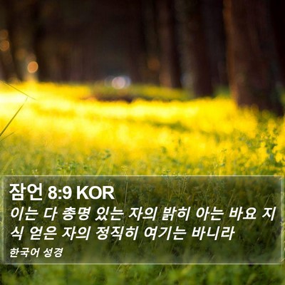 잠언 8:9 KOR Bible Verse Image