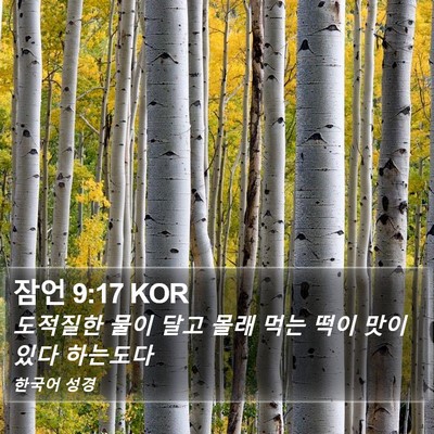 잠언 9:17 KOR Bible Verse Image