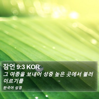 잠언 9:3 KOR Bible Verse Image