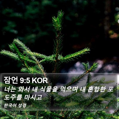 잠언 9:5 KOR Bible Verse Image