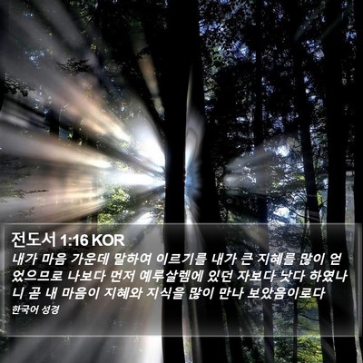 전도서 1:16 KOR Bible Verse Image