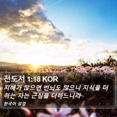 전도서 1:18 KOR Bible Verse Image