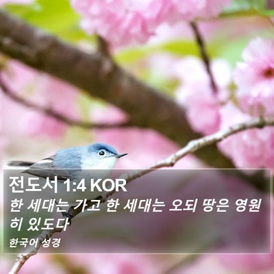 전도서 1:4 KOR Bible Verse Image